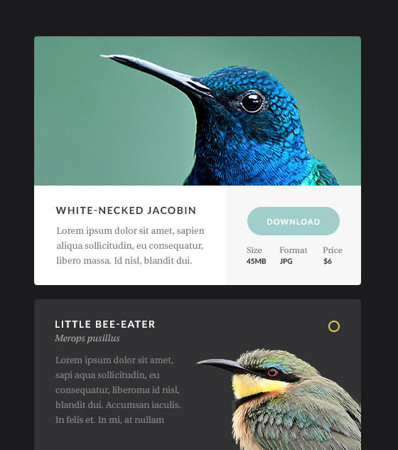 Aves UI by Erigon